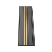 PS Wandpaneel Anthrazit Goldlinie 275 cm x 12 cm - AM1202-39 1