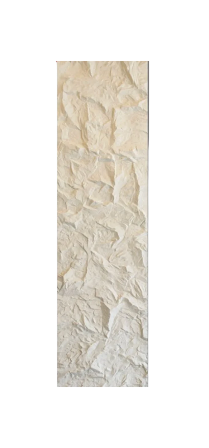 Rock Wandpaneel Lithos Beige Steinoptik 60 x 290 cm 3 cm