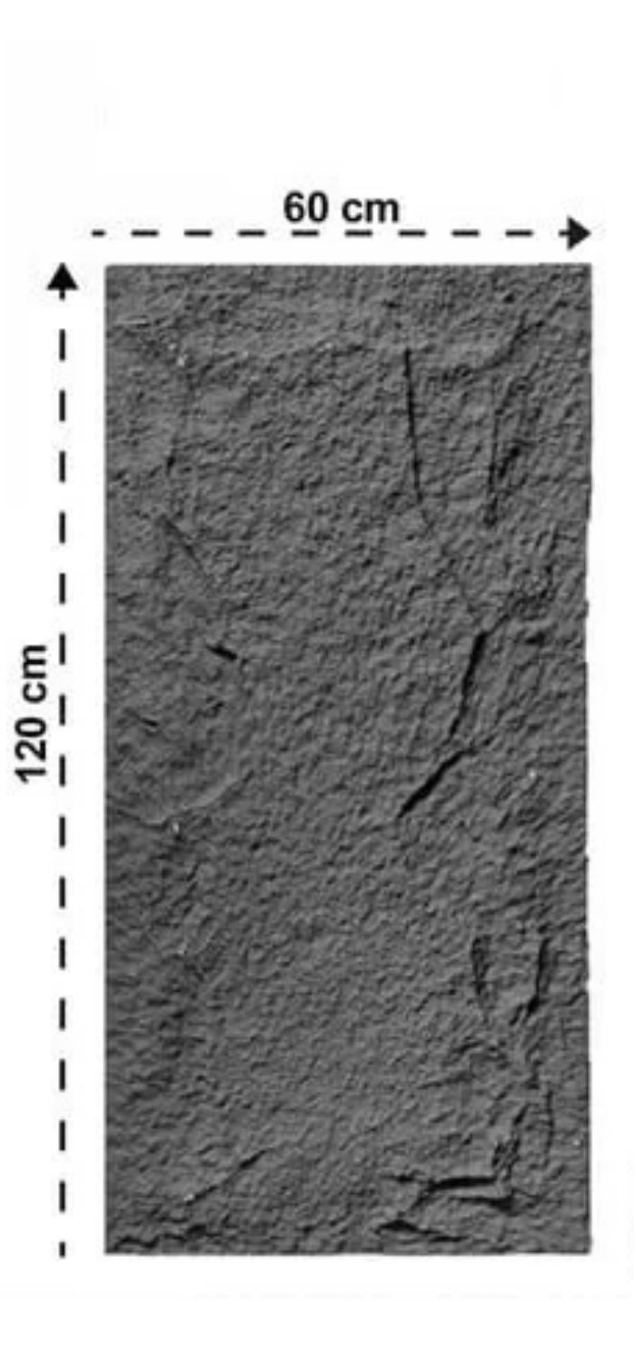 Rock Wandpaneel Anthrazit Steinoptik 60 x 120 cm 6 cm 5